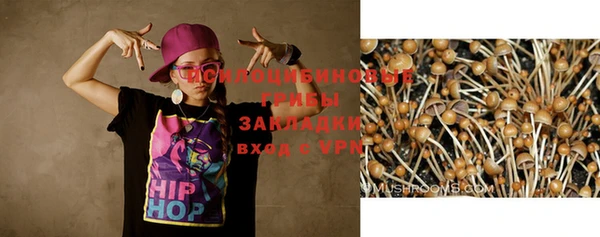 дурь Баксан