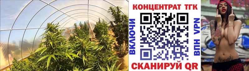 ТГК концентрат  Петров Вал 