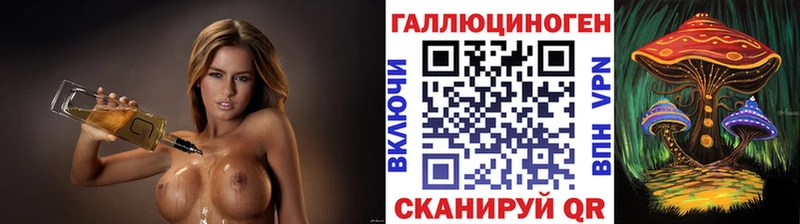 дарк нет состав  kraken как зайти  Петров Вал  Галлюциногенные грибы Psilocybine cubensis 